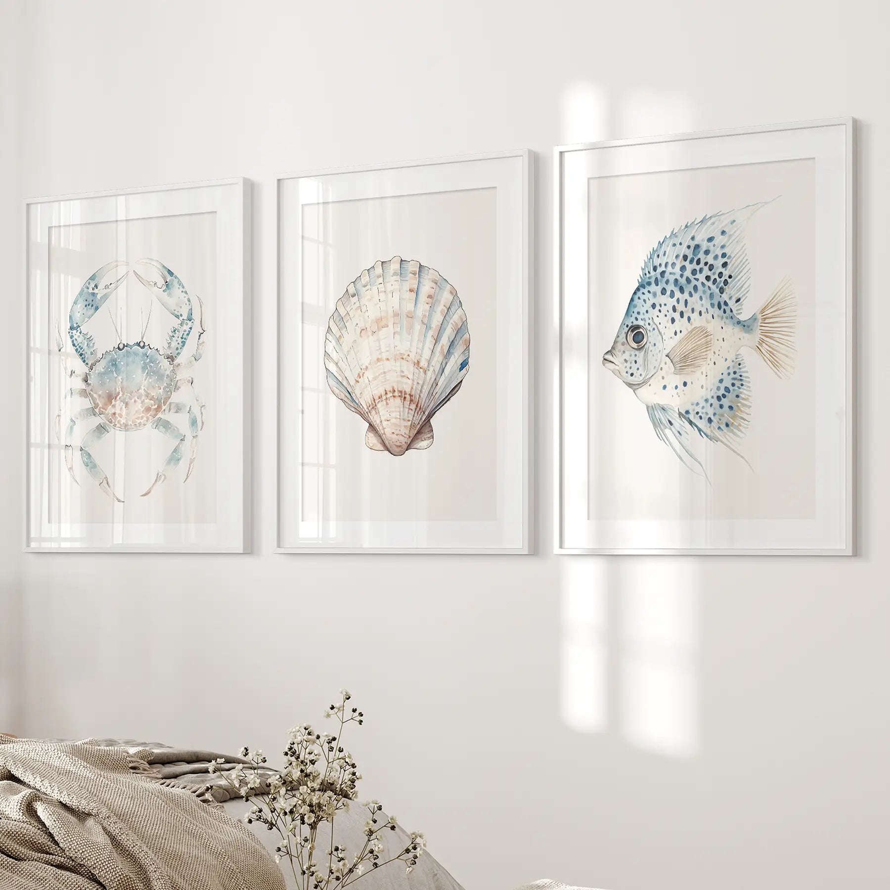 Contemporary beach house art set of 3 sea life prints. White frames with mat for bedroom.