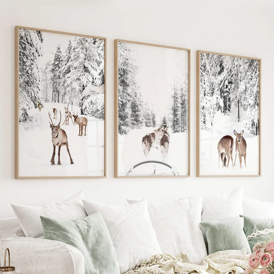 Winter Woodland Photo Set of 3. Fawn, Dog Sledding