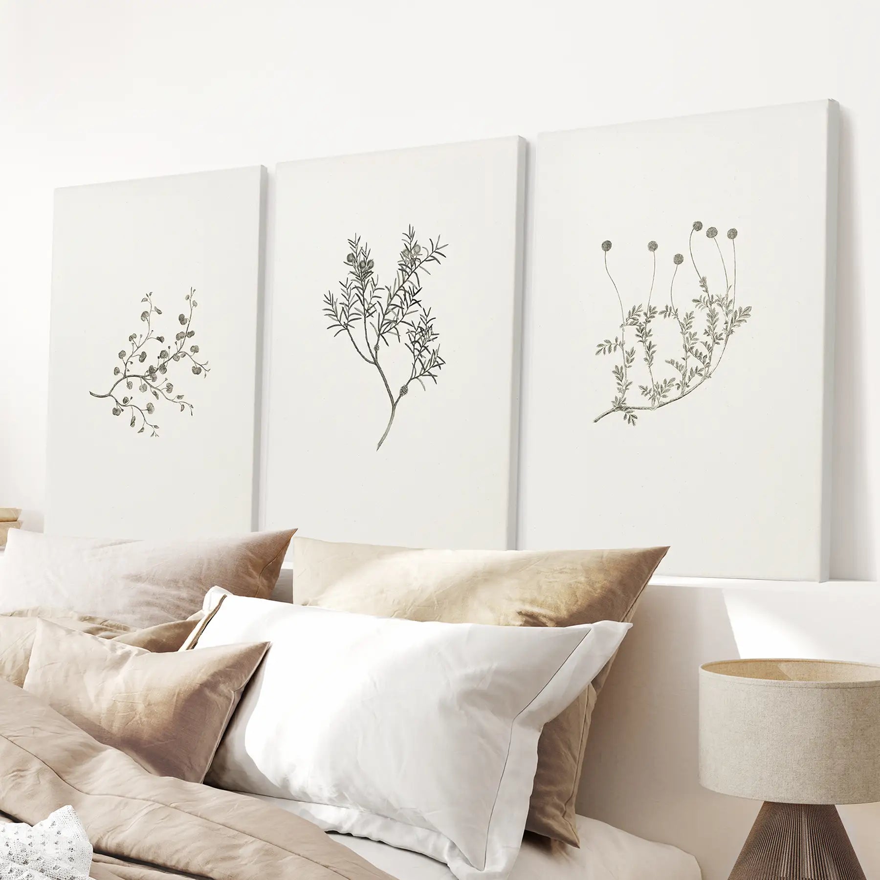 Set of 3 Vintage Botanical Prints Neutral Wall Art. Wrapped Canvas Above the Bed.