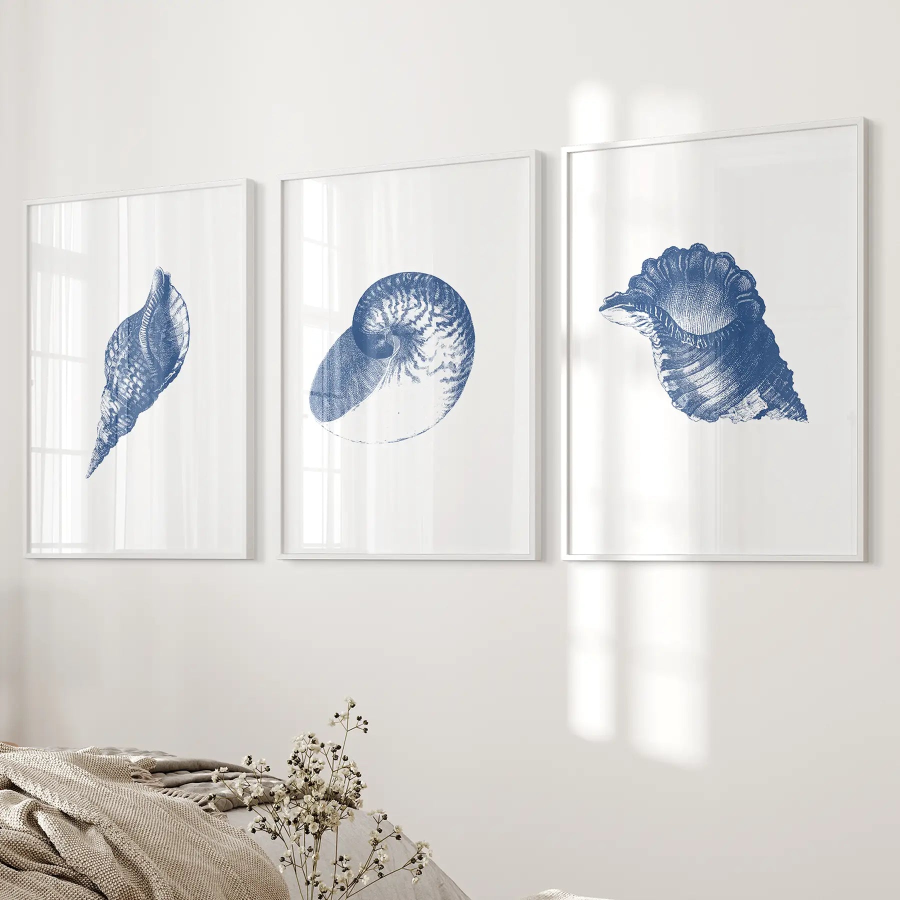 Vintage ocean shell artwork. Sea life minimalist beachy decor. White frames over the bed.