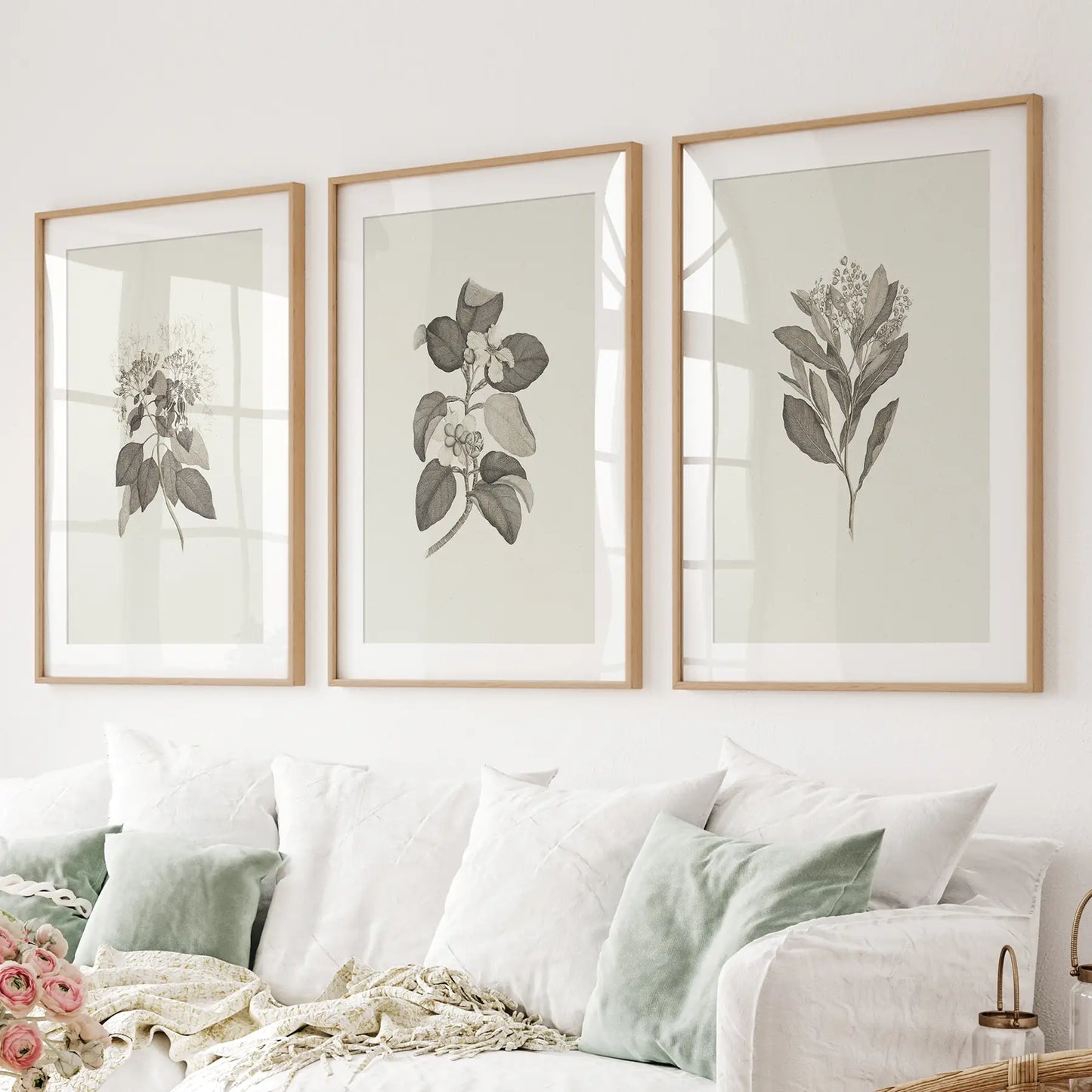 Vintage Neutral Spring Botanical Drawing Apartment Decor. Thinwood Frames with Mat for Living Room.