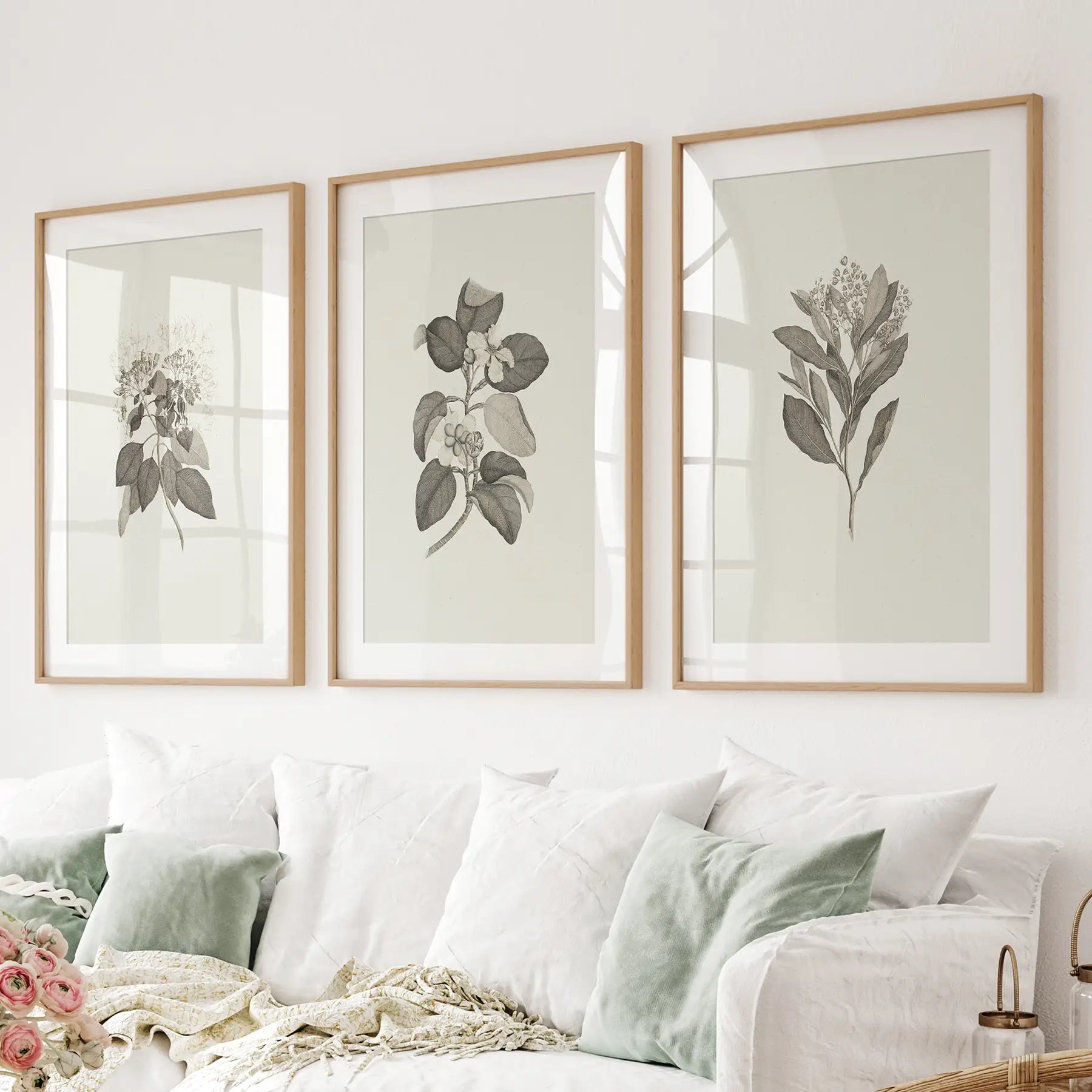 Vintage Neutral Spring Botanical Drawing Apartment Decor. Thinwood Frames with Mat for Living Room.