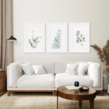 Load image into Gallery viewer, Modern Minimalistic Plants Art Decor Set. White Frames with Mat Above the Sofa.
