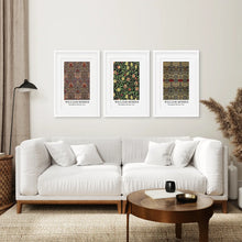 Load image into Gallery viewer, Botanical Vintage Museum Exhibition Art Posters. White Frames with Mat Above the Sofa.

