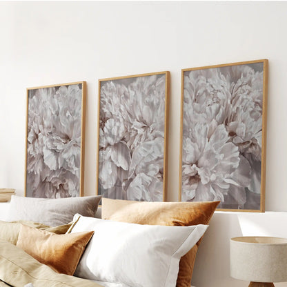 Soft pink petals with taupe shadows fill three oak-framed prints above white and ochre bed pillows, with ruffled edges visible throughout.