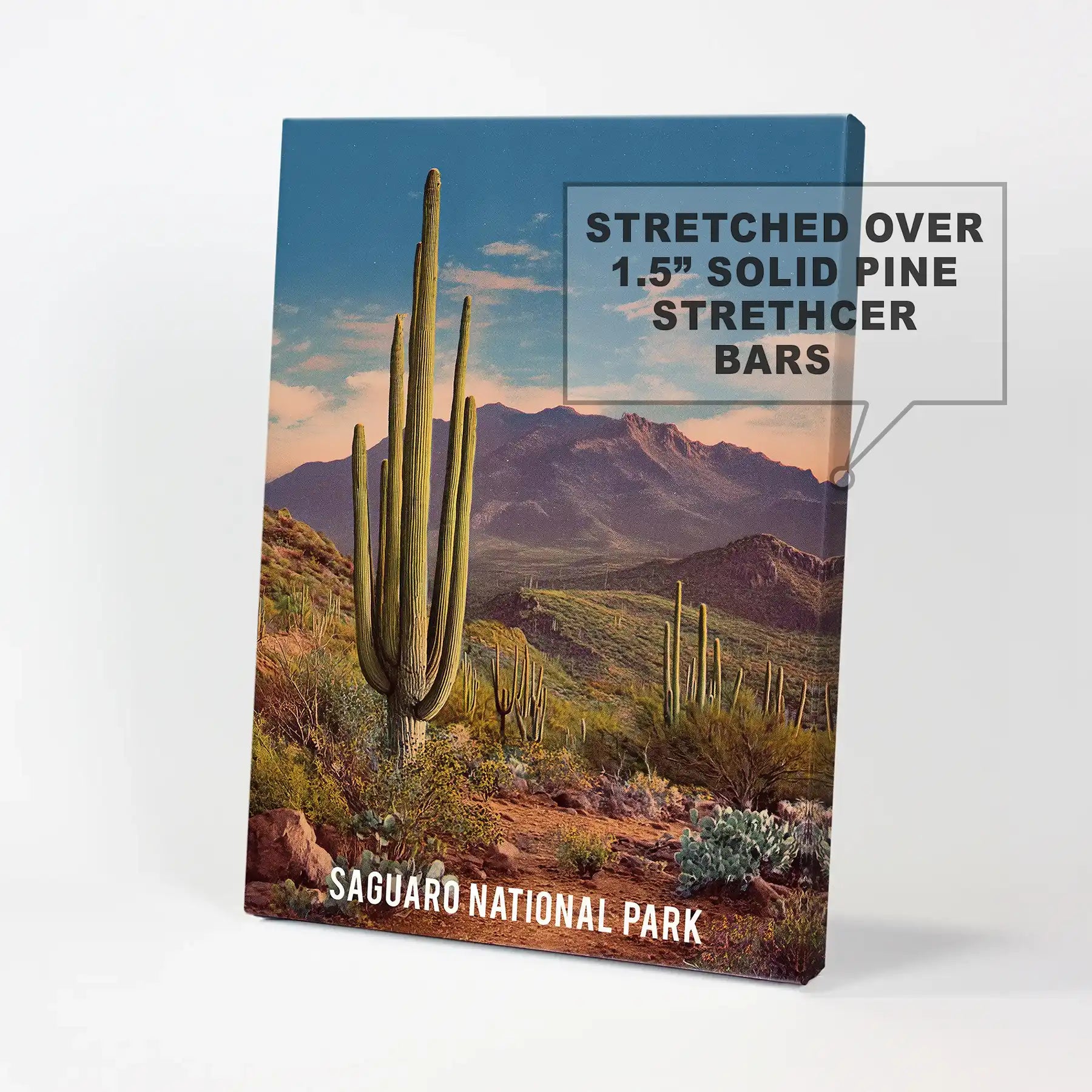 Sonoran Desert scenery statement wall decor arrives as a wrapped canvas print, stretching edge to edge for a clean, modern presence.