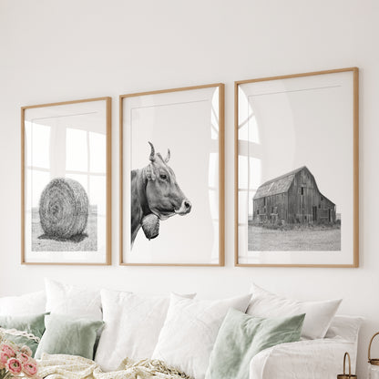 Farmhouse Art Set of 3. Vintage Barn, Cow, Hay Bale Landscape