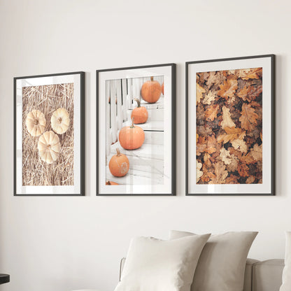 A set of three pumpkin wall prints with black matted frames floats above the living-room sofa, lending a crisp gallery look.