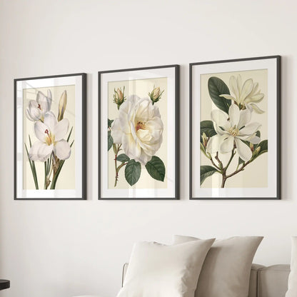 White blooms and green leaves fill three botanical prints above a sofa, with a rose in the middle and white mats inside black frames.