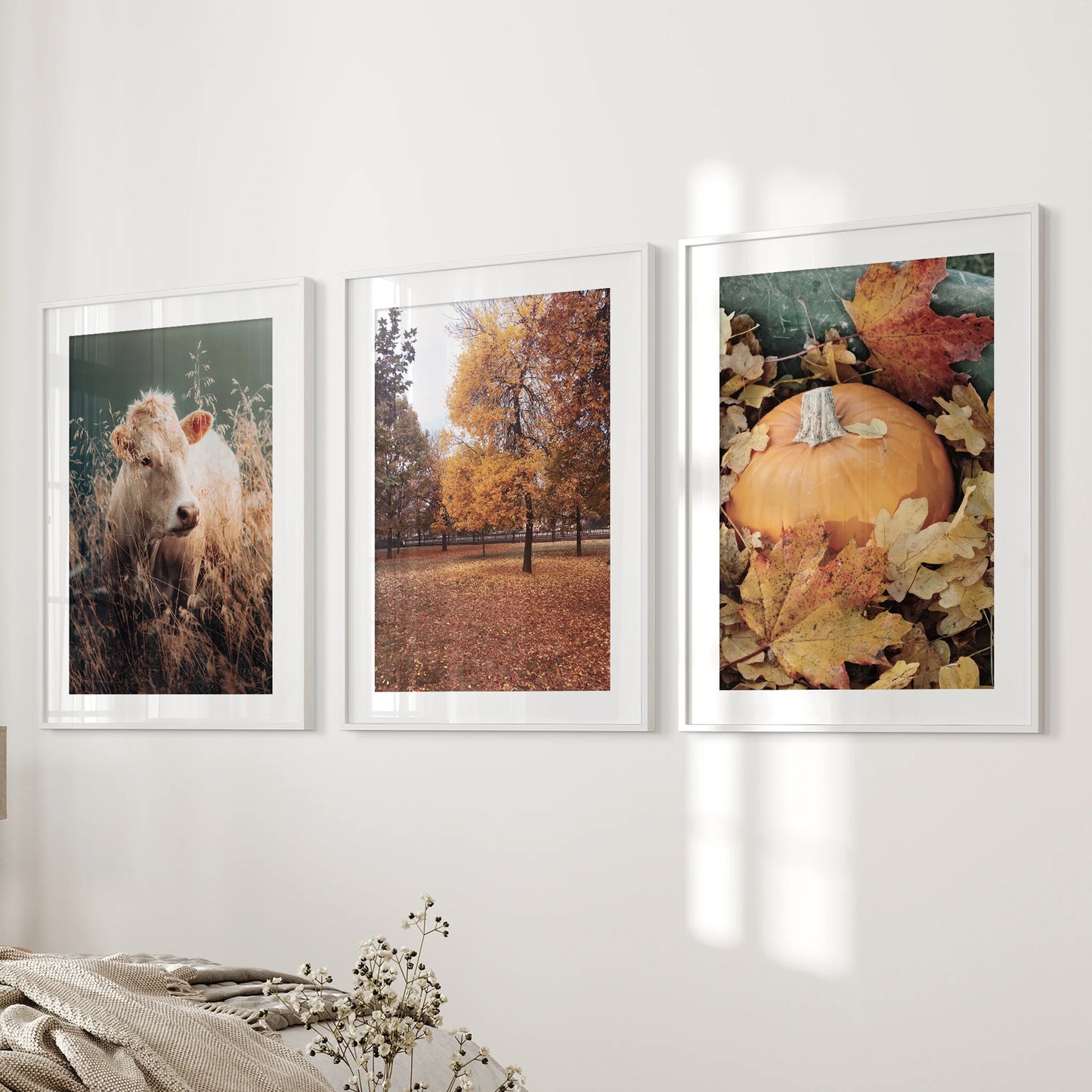 Autumn nature photography, a 3-print gallery set arranged on the wall next to the bed in the bedroom, comes in white frames with crisp matting.