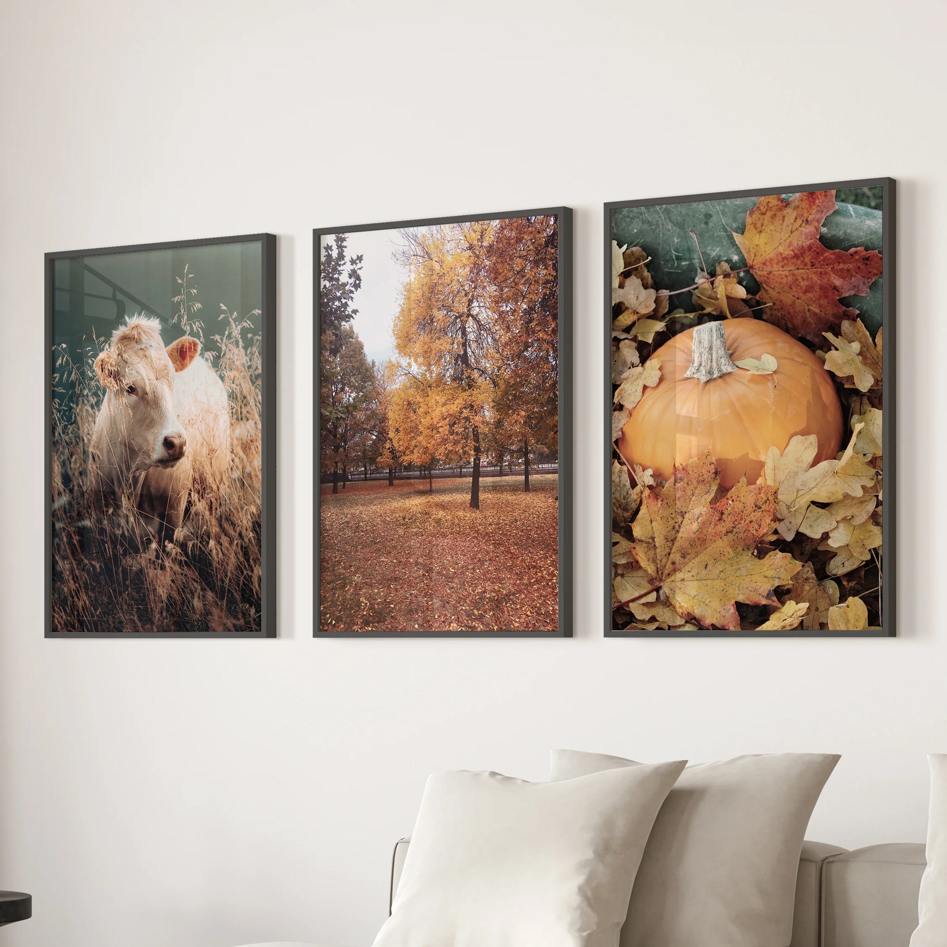A trio of black-framed landscape prints brings a calm fall forest view to the living room wall behind the couch.