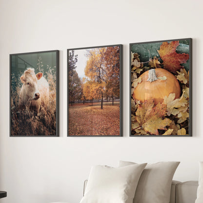 A trio of black-framed landscape prints brings a calm fall forest view to the living room wall behind the couch.
