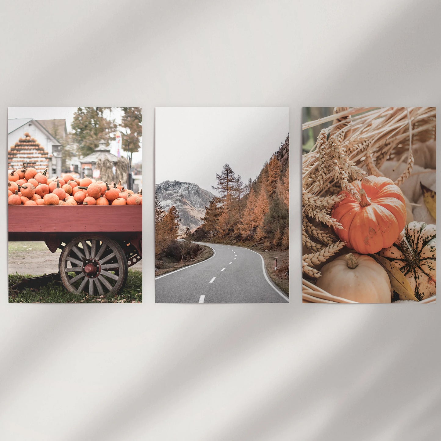 Unframed fall landscape photography prints form a trio poster set, a minimal wall accent showing sweeping countryside views in clean lines.