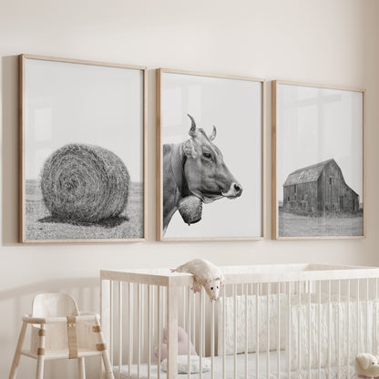 Farmhouse Art Set of 3. Vintage Barn, Cow, Hay Bale Landscape
