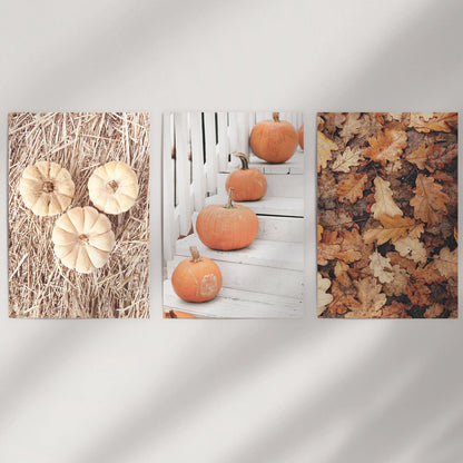 Rustic gourds and leaves poster set, three posters mailed in a tube, ready to brighten a clean wall with crisp autumn texture and farmhouse charm.