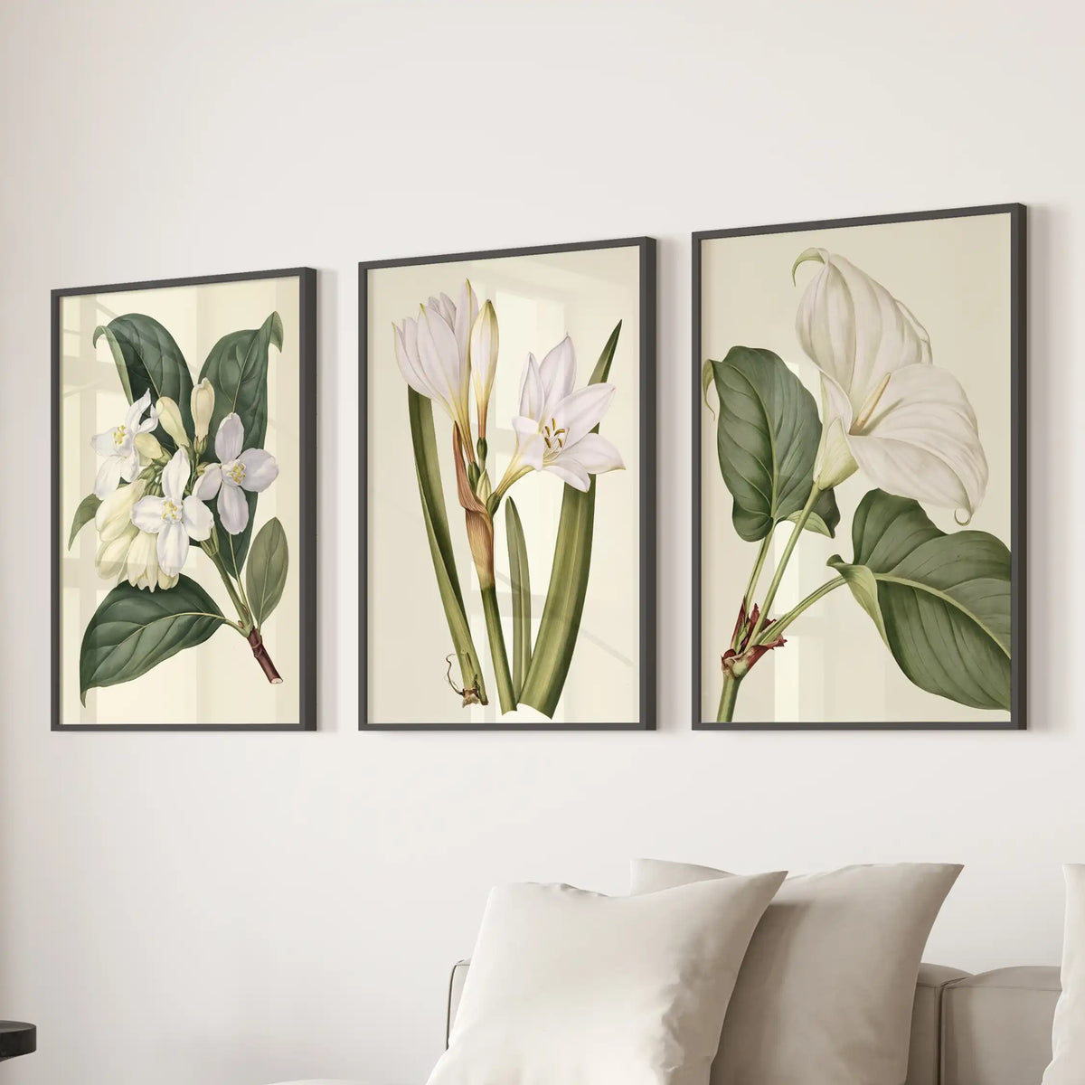 White blooms stand against deep green leaves on cream grounds in three black-framed prints above a sofa, with different leaf shapes in each.