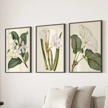 White blooms stand against deep green leaves on cream grounds in three black-framed prints above a sofa, with different leaf shapes in each.
