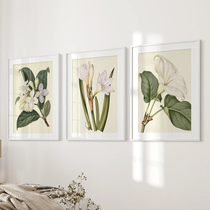 Beside a bed, three prints in white frames with mats show white blooms set against deep green leaves.