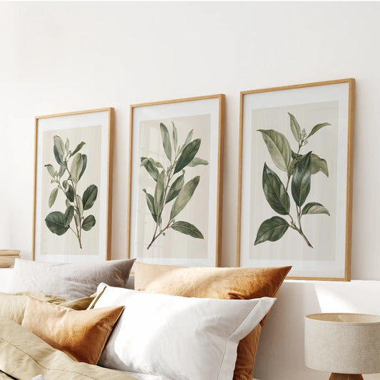 A set of three green leaf and branch prints in oak frames above a bed.