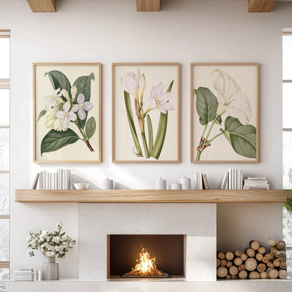 Three green and white botanical prints in oak frames above a fireplace.