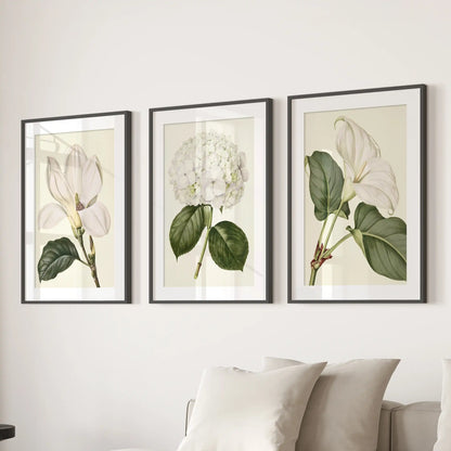 Matted black frames hold three white flower prints above a sofa, with hydrangea in the center.