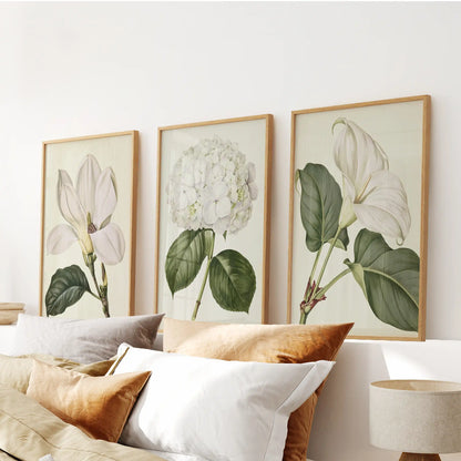 Above the bed pillows, three oak-framed prints show a hydrangea head between two larger white blooms, with dark green leaves on cream.