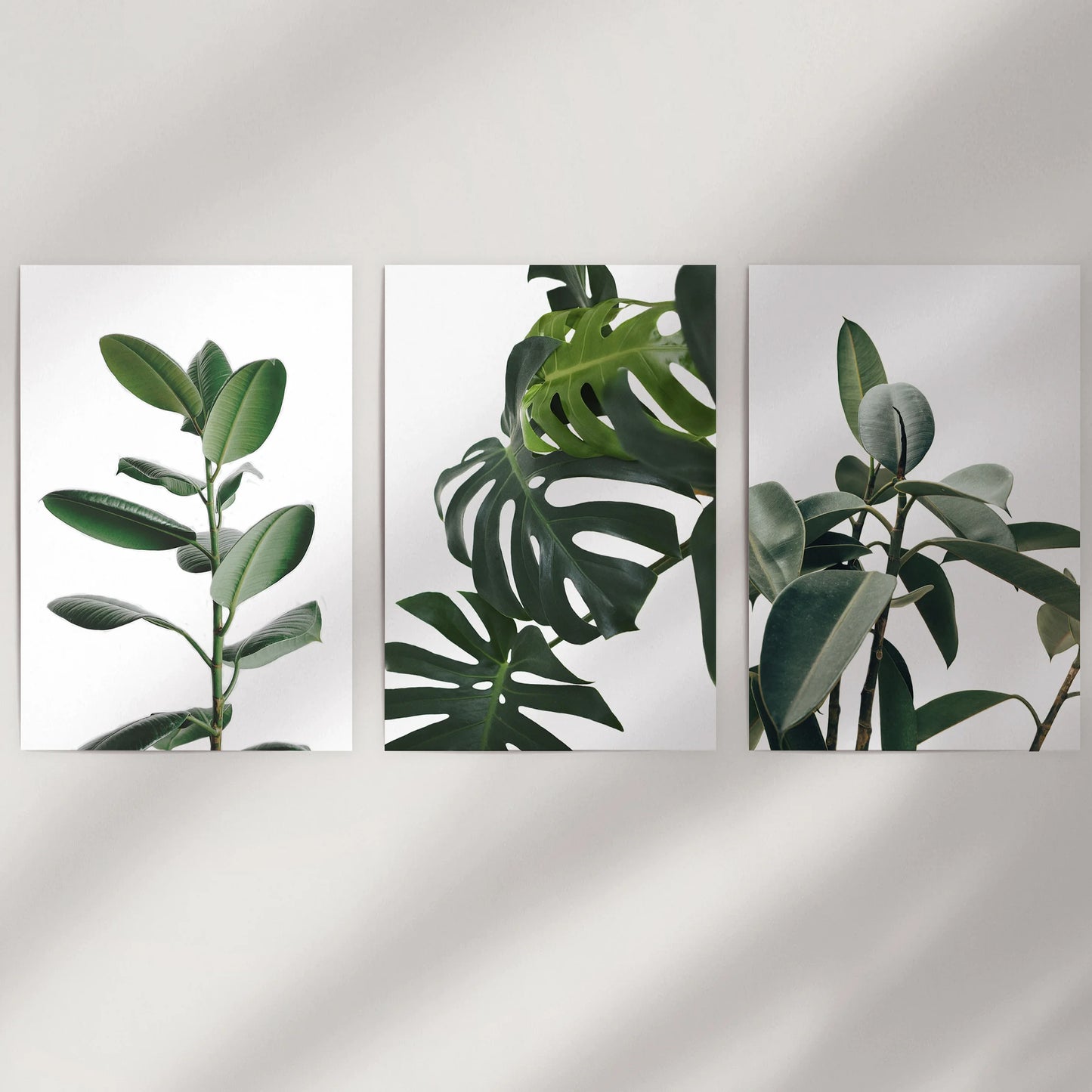 Large leaf study, a three-piece wall decor set of loose art prints, reads crisp and airy on a white wall, letting the tropical greens breathe and shine.