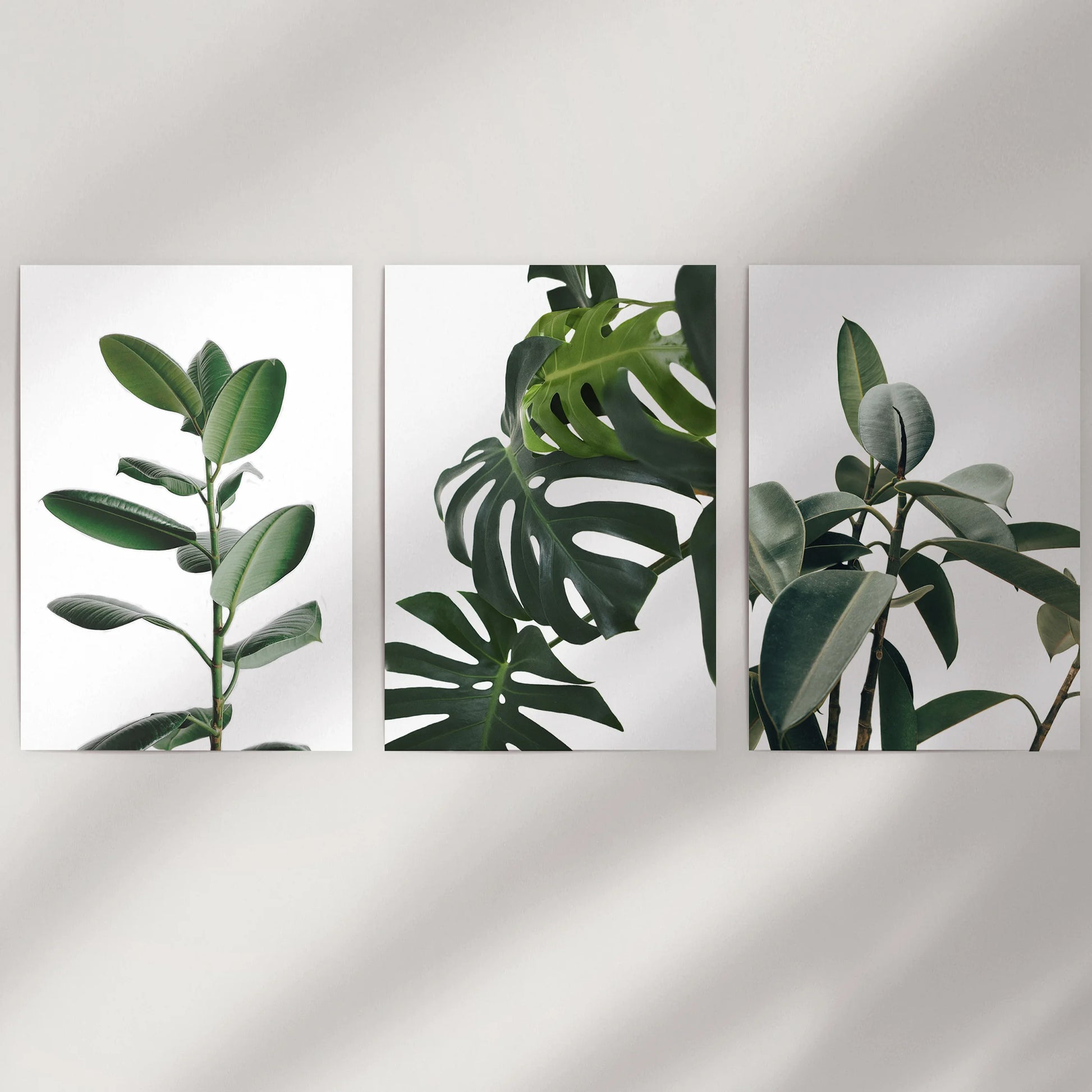 Large leaf study, a three-piece wall decor set of loose art prints, reads crisp and airy on a white wall, letting the tropical greens breathe and shine.