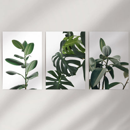 Large leaf study, a three-piece wall decor set of loose art prints, reads crisp and airy on a white wall, letting the tropical greens breathe and shine.