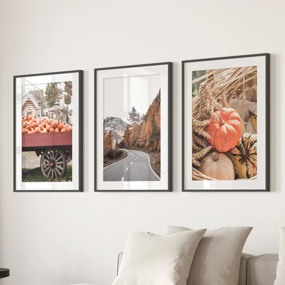 Harvest fields in autumn three-piece wall art set, black frames with matting hung above the lounge sofa, lends a grounded, seasonal calm to the space.