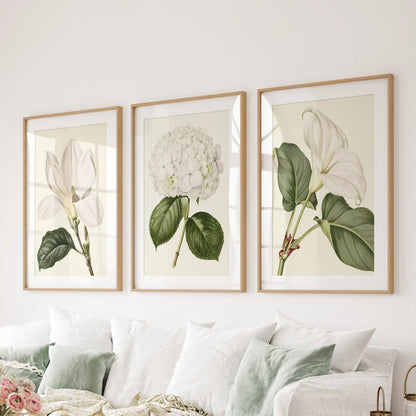 Above a sofa, matted oak frames display three white floral prints.