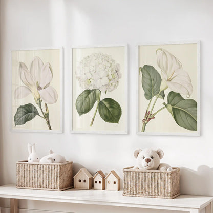 The three white-framed prints above toy baskets show a white hydrangea between two larger open blooms, each with green leaves.