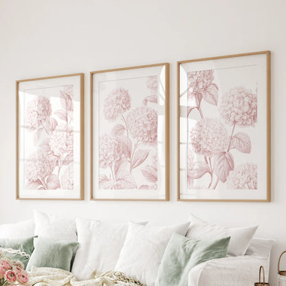 The three oak frames above a sofa have white mats around pale pink hydrangea patterns, with detailed leaf veins and petal outlines.