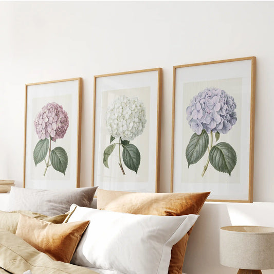 Single hydrangea stems with veined green leaves appear in three oak-framed prints above a bed, with a white bloom between pink and pale blue.