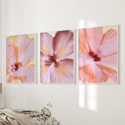 Coral and pink petals fill three white-framed prints beside a bed.