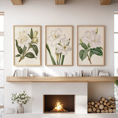 A set of three white botanical flower prints in oak frames above a fireplace.