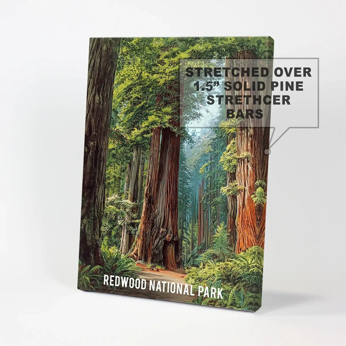 Redwood National Park landscape standalone canvas artwork arrives as a wrapped canvas, ready to hang as bold travel wall art with clean, frameless edges.