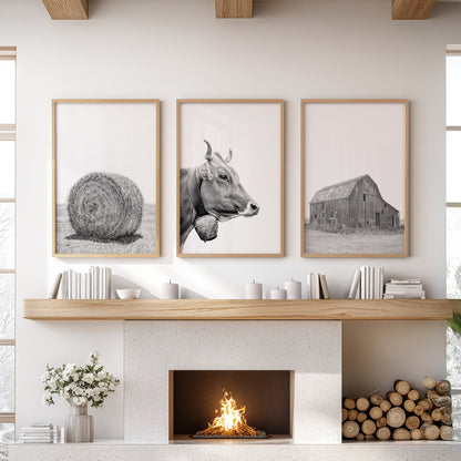 Farmhouse Art Set of 3. Vintage Barn, Cow, Hay Bale Landscape