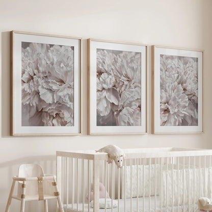 Oak frames with white mats hold three peony close-up prints above a crib.