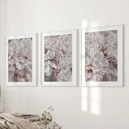 Soft pink peony prints in white frames with mats, a set of three beside a bed.