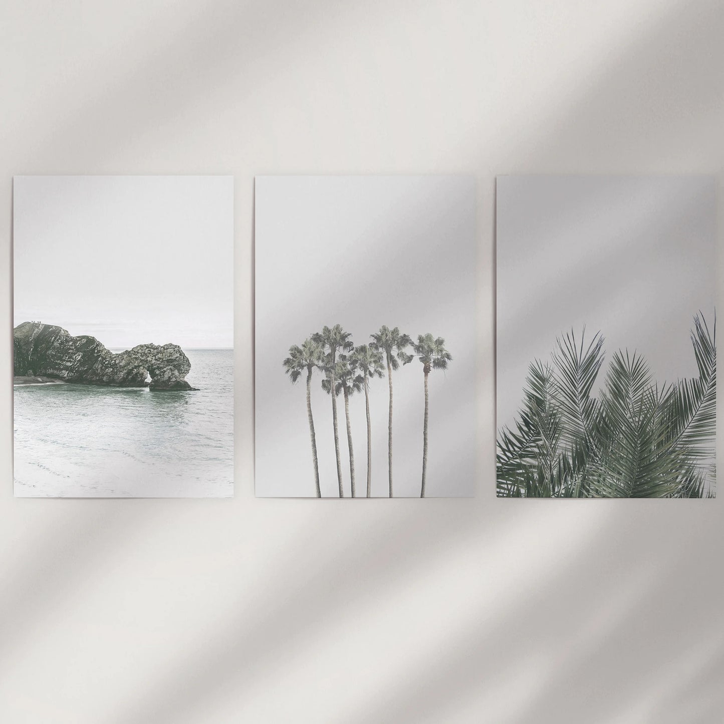 A three-piece wall art set of modern palm silhouettes comes as loose prints, designed to energize a bare wall once framed to suit your décor.