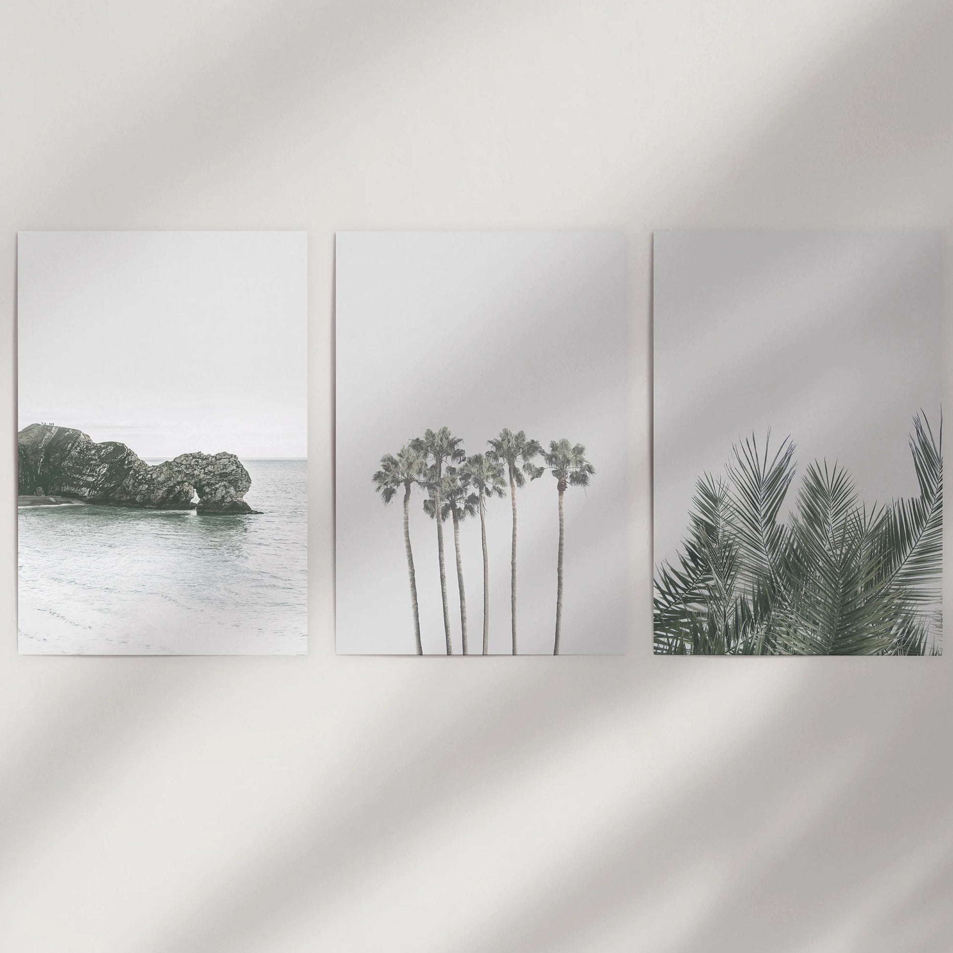 A three-piece wall art set of modern palm silhouettes comes as loose prints, designed to energize a bare wall once framed to suit your décor.