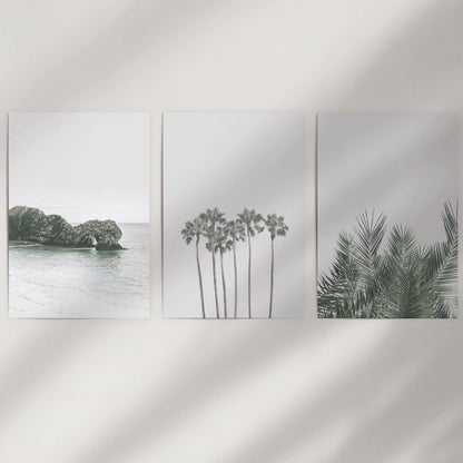 A three-piece wall art set of modern palm silhouettes comes as loose prints, designed to energize a bare wall once framed to suit your décor.