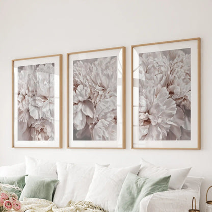 A set of three ruffled peony petal prints above a sofa, in oak frames with white mats.