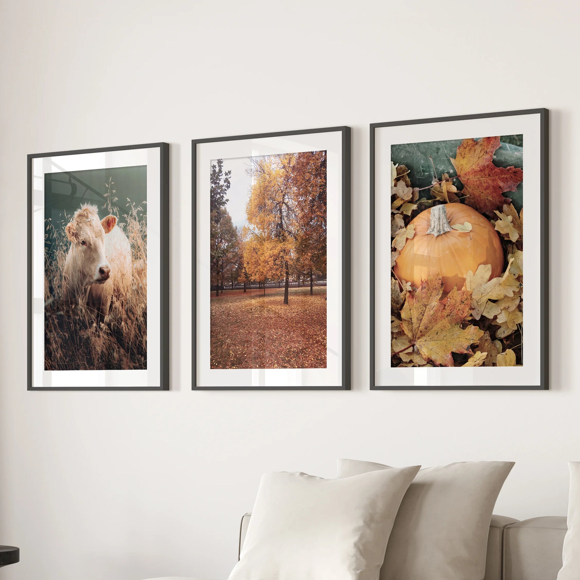 A curated trio of black-matted prints showing autumn nature adds crisp seasonal texture above the lounge sectional.