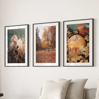 A curated trio of black-matted prints showing autumn nature adds crisp seasonal texture above the lounge sectional.