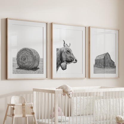 Farmhouse Art Set of 3. Vintage Barn, Cow, Hay Bale Landscape