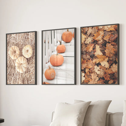 Fall harvest still life wall art trio hangs behind the sofa in a lounge, black frames highlighting textured pumpkins and stems in rich autumn tones.