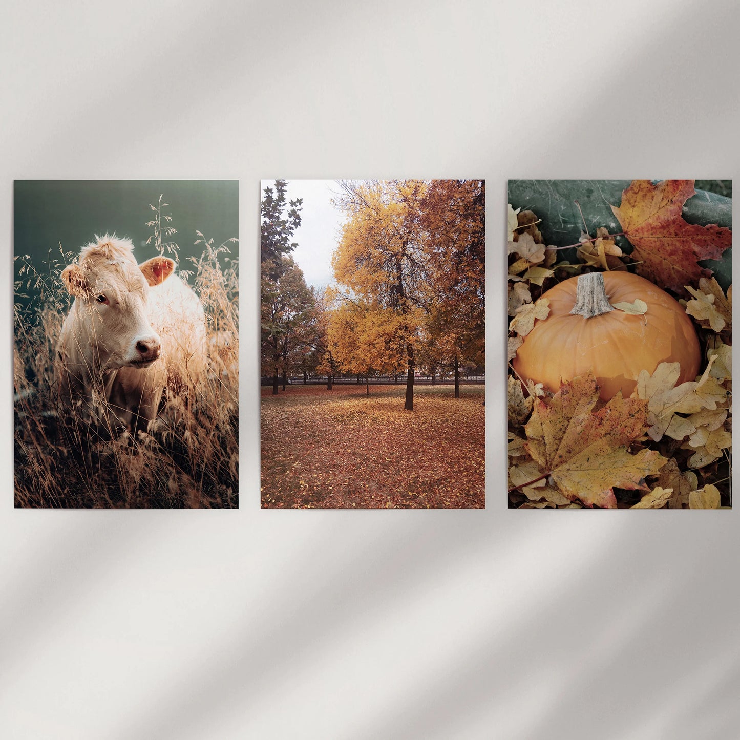 This set of three rolled wall prints with seasonal botanicals fills blank space and invites custom framing to match your style.