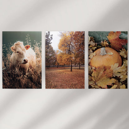 This set of three rolled wall prints with seasonal botanicals fills blank space and invites custom framing to match your style.